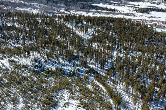 a view of a tree in a backyard of a house