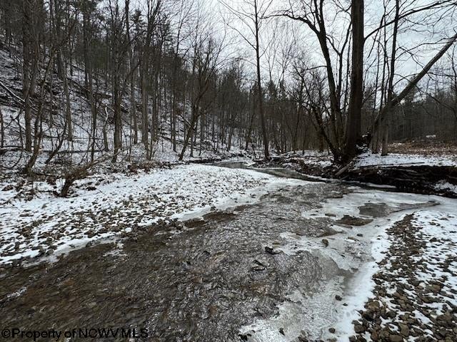 1 Spruce Run Poca, WV 25159 - Photo 9 of 38 Gallery Image 9