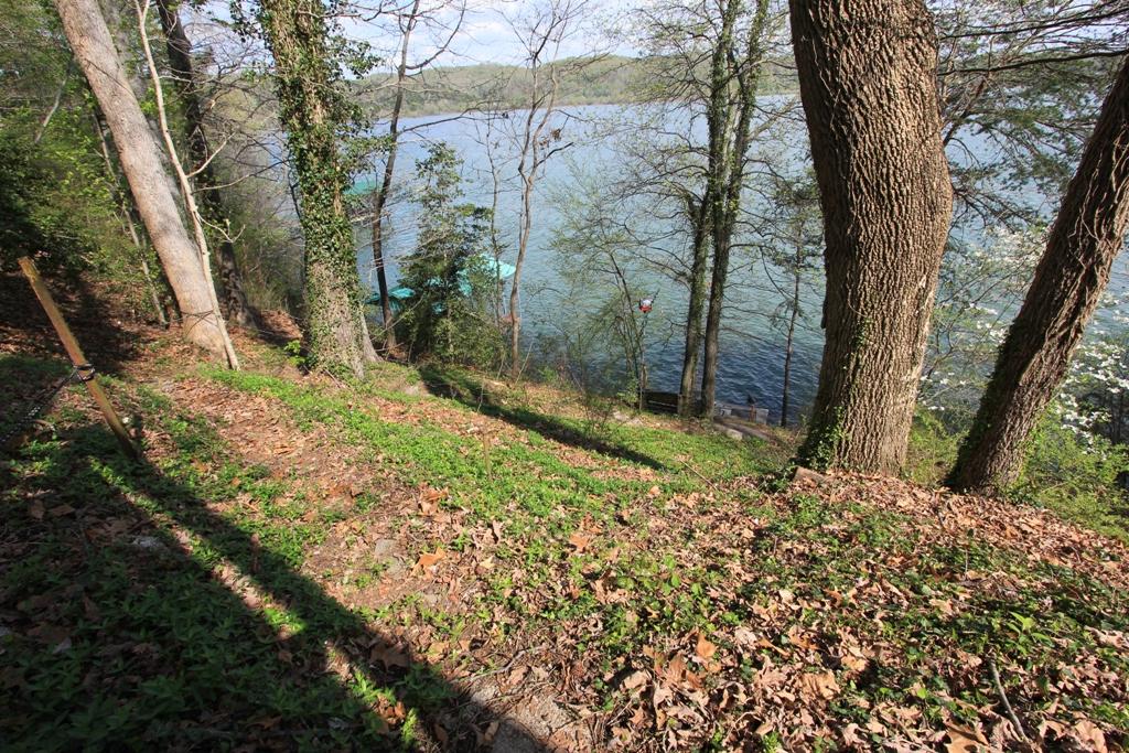 1400 Whites Creek Road Spring City, TN 37381 - Photo 22 of 26 Pathway to Dock