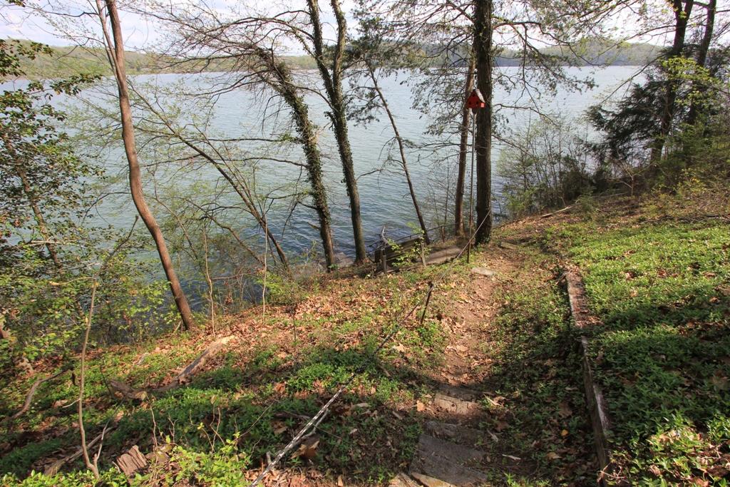 1400 Whites Creek Road Spring City, TN 37381 - Photo 23 of 26 Pathway to Dock
