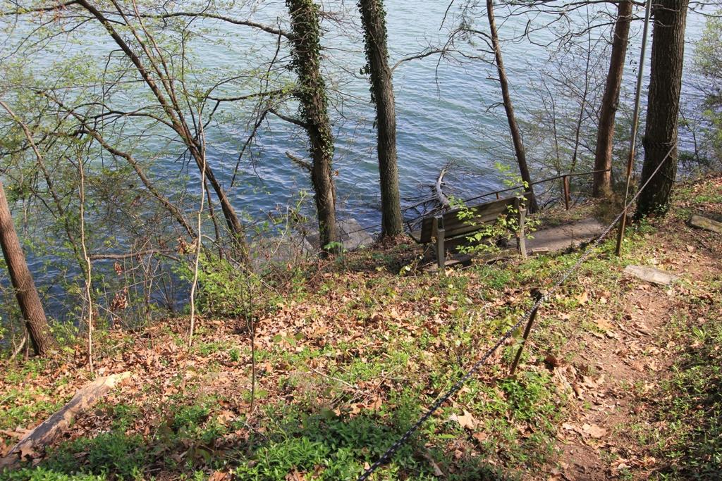 1400 Whites Creek Road Spring City, TN 37381 - Photo 24 of 26 Pathway to Dock