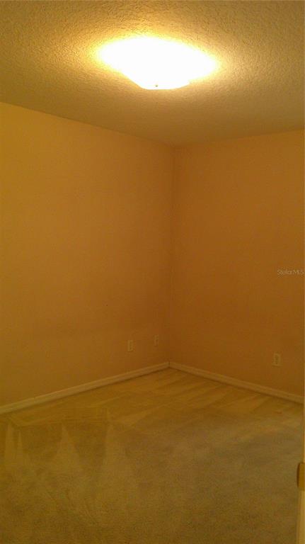 9724 Mary Robin Drive Riverview, FL 33569 - Photo 11 of 20 a view of an ocean