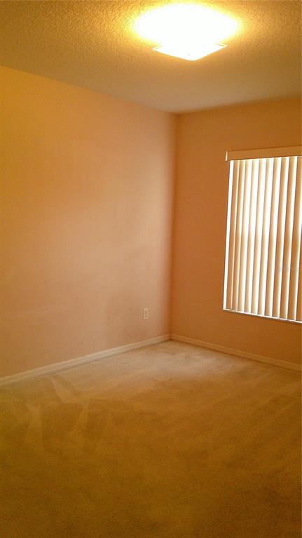 9724 Mary Robin Drive Riverview, FL 33569 - Photo 12 of 20 a view of an empty room with a window
