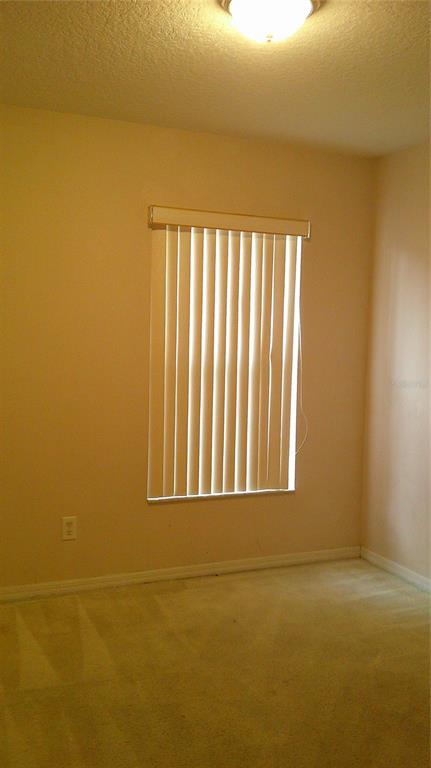 9724 Mary Robin Drive Riverview, FL 33569 - Photo 13 of 20 a view of an ocean from a balcony