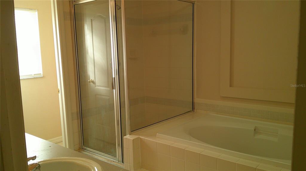 9724 Mary Robin Drive Riverview, FL 33569 - Photo 17 of 20 a bathroom with a bathtub