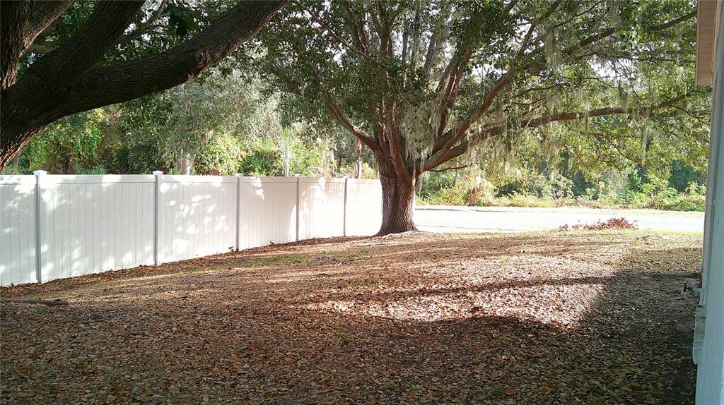 9724 Mary Robin Drive Riverview, FL 33569 - Photo 20 of 20 a view of yard with trees