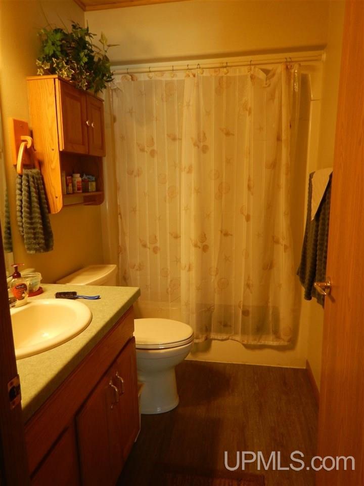 15490 County 426 M.5 Road Cornell, MI 49818 - Photo 9 of 34