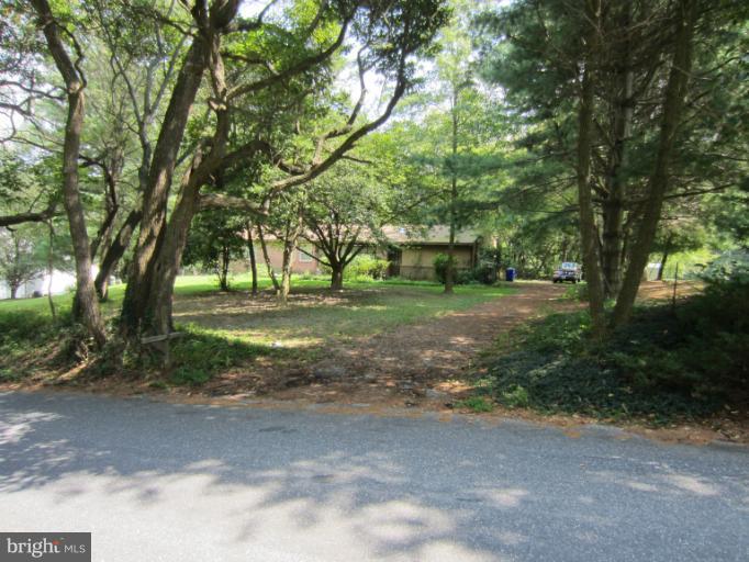 a view of a yard with tree s