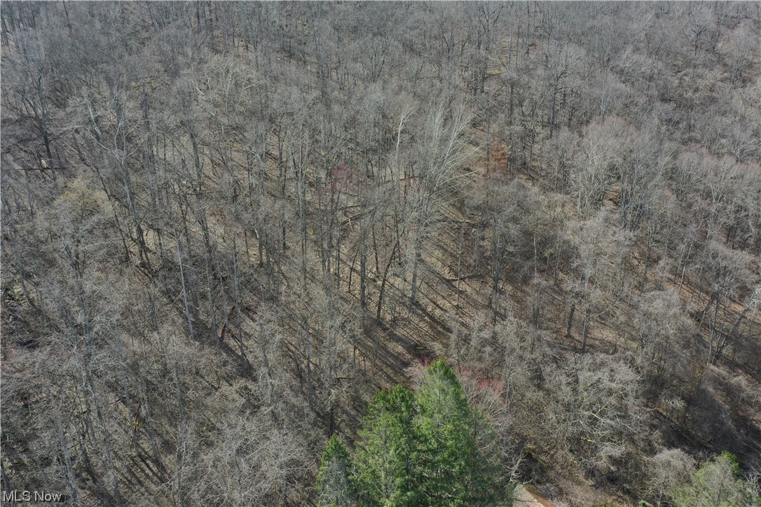 1 Raccoon Run Road Normantown, WV 25267 - Photo 9 of 17