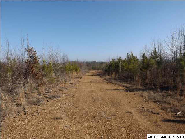 286 County Road, Unit 85 Collinsville, AL 35961 - Photo 16 of 23