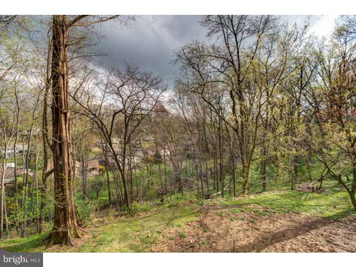 476 Susquehanna Road Huntingdon Valley, PA 19006 - Photo 10 of 25 View in Back