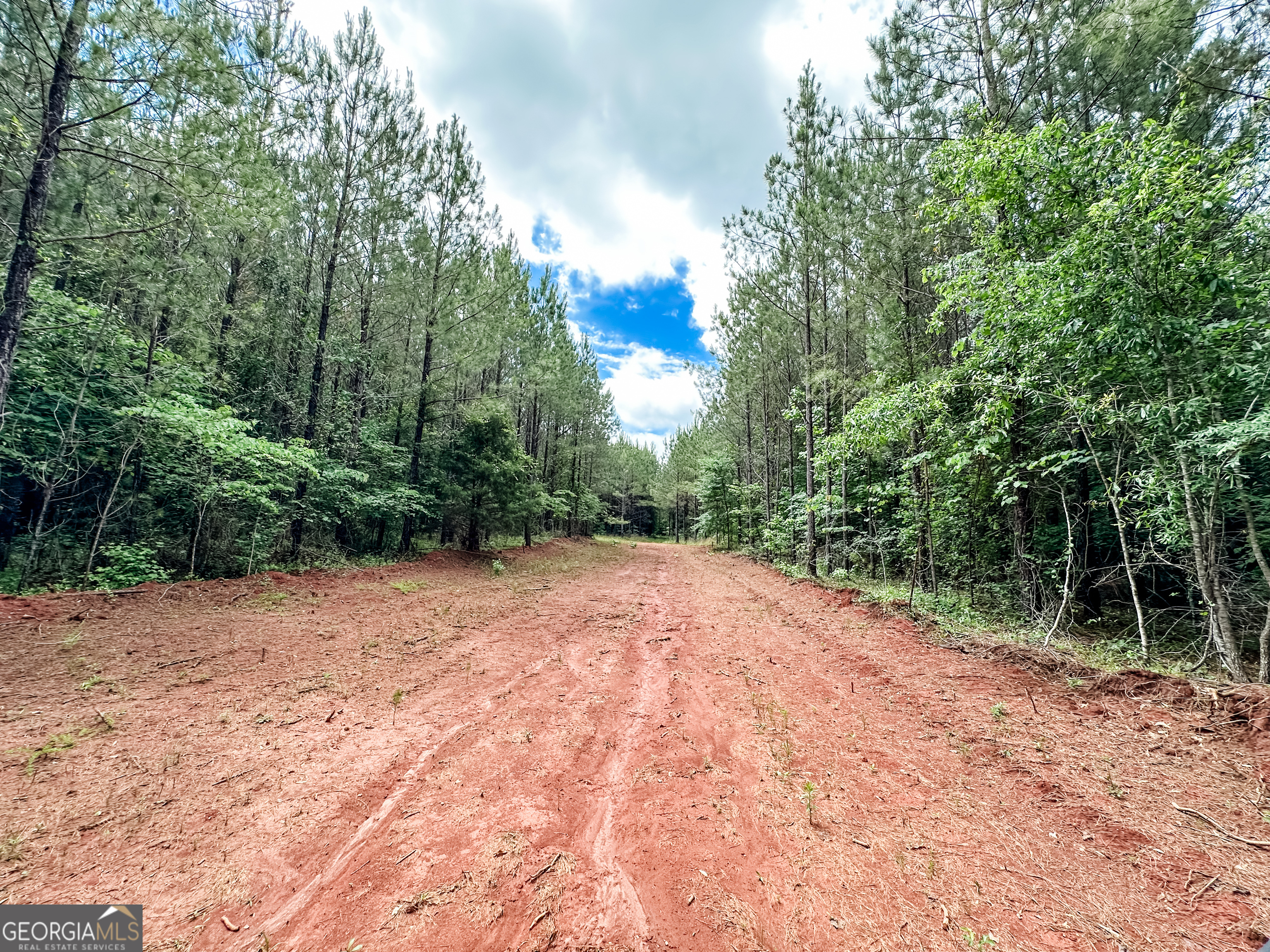 52.4-acres Goolsby Road, Unit 52 4 ACRES Monticello, GA 31064 - Photo 16 of 25