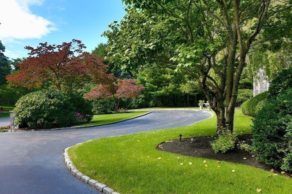 177 Bridle Trail Road Needham, MA 02492 - Photo 33 of 41 a view of a backyard with large trees