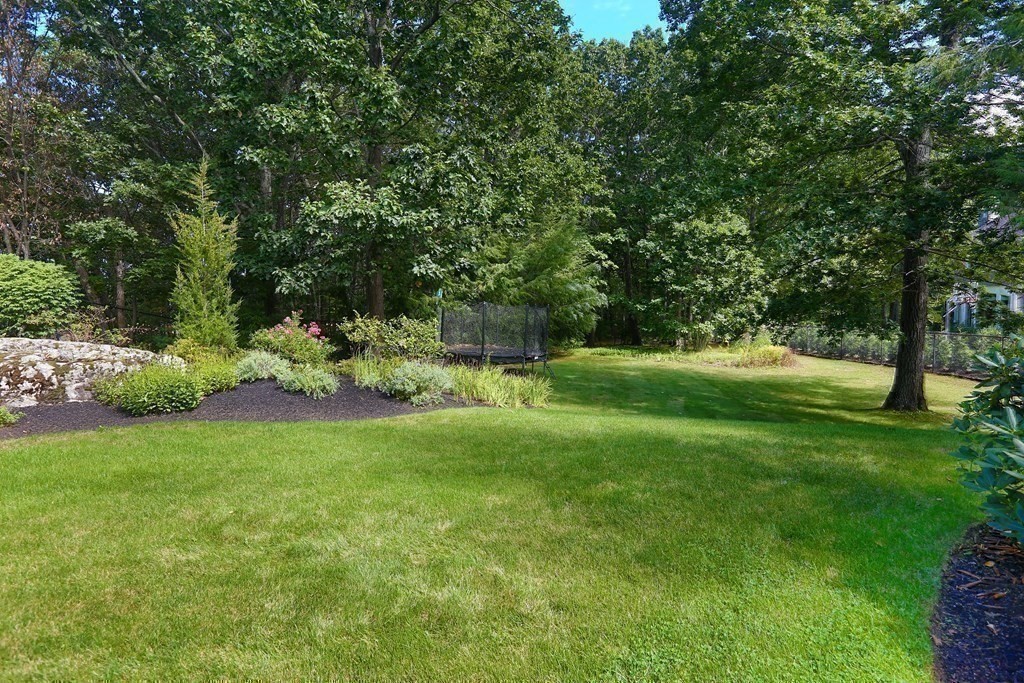 177 Bridle Trail Road Needham, MA 02492 - Photo 38 of 41 a view of backyard with green space
