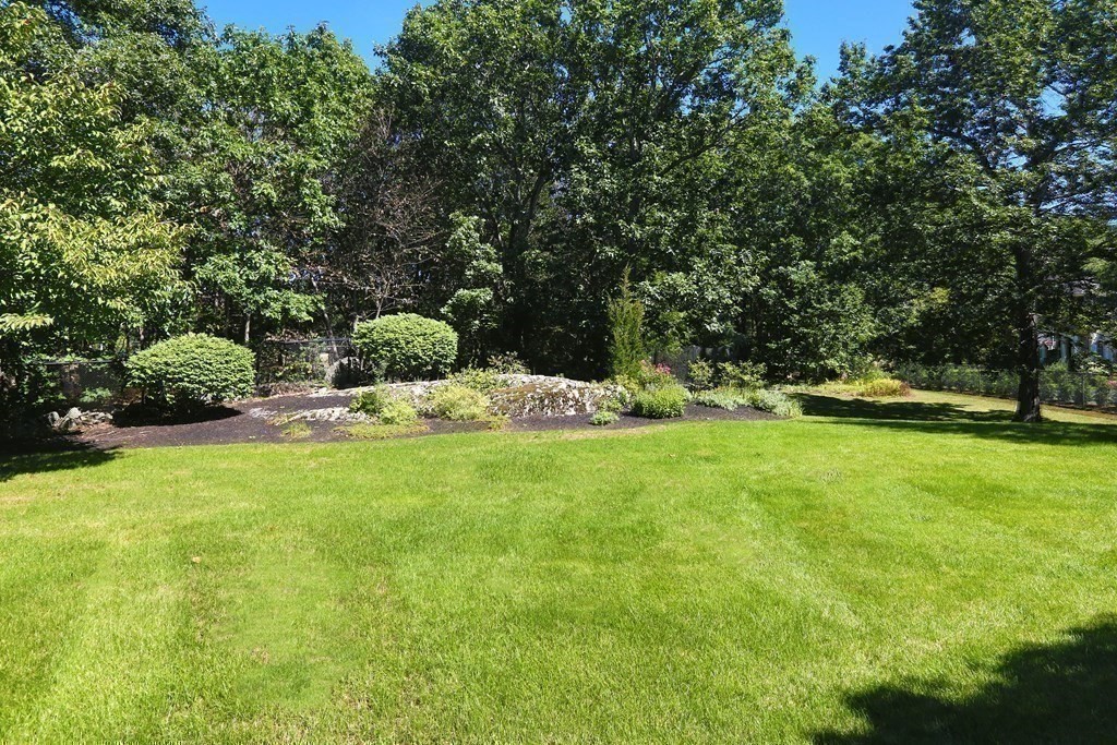 177 Bridle Trail Road Needham, MA 02492 - Photo 39 of 41 a garden view