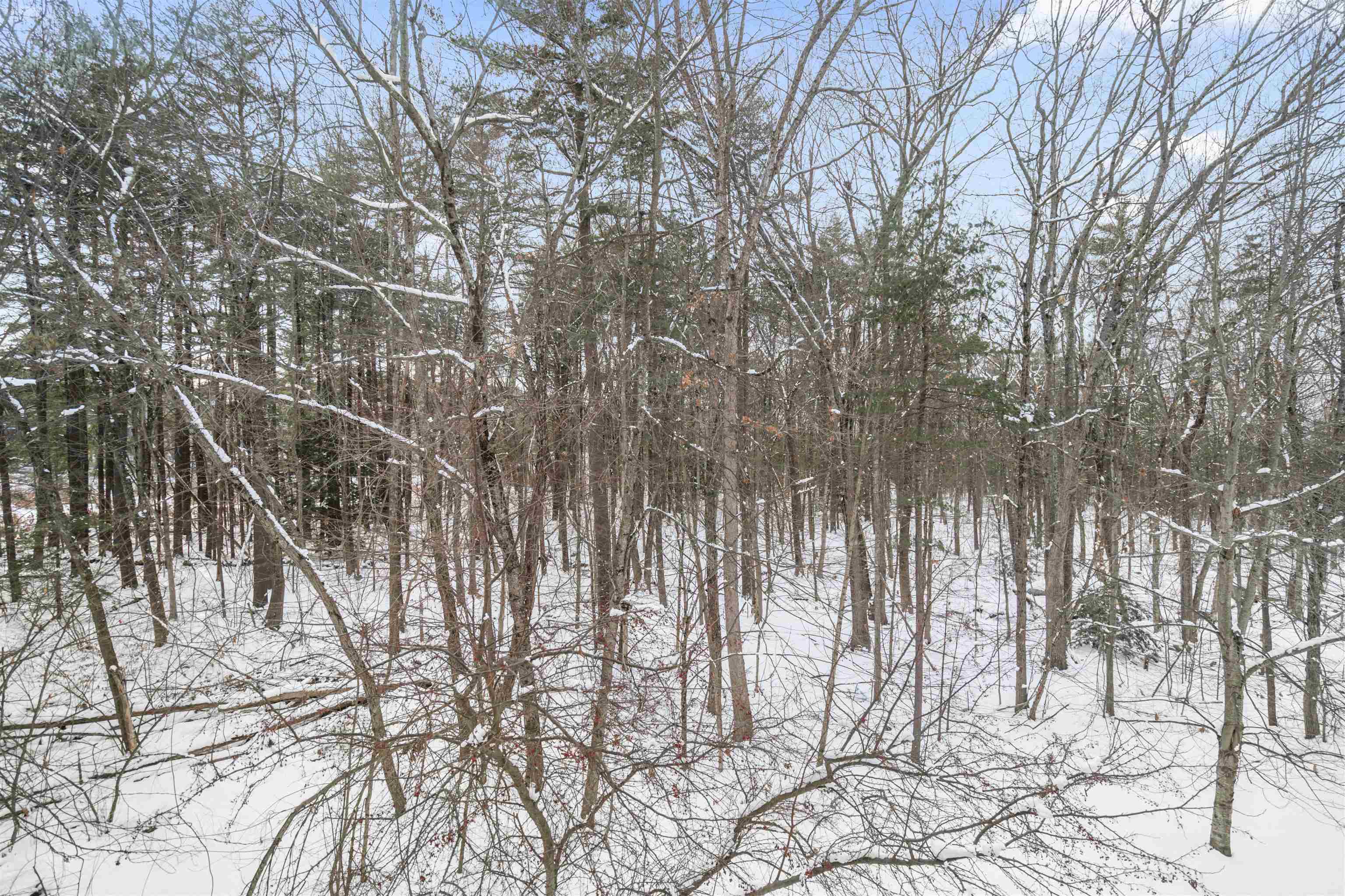 1029 South Mammoth Road, Unit 7 Manchester, NH 03109 - Photo 33 of 38