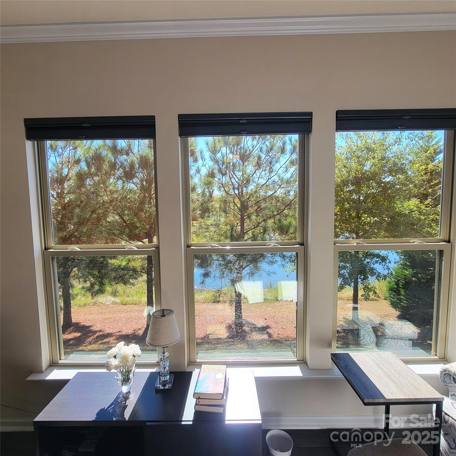 758 Peach Valley Lane, Unit 383 Fort Mill, SC 29715 - Photo 20 of 48