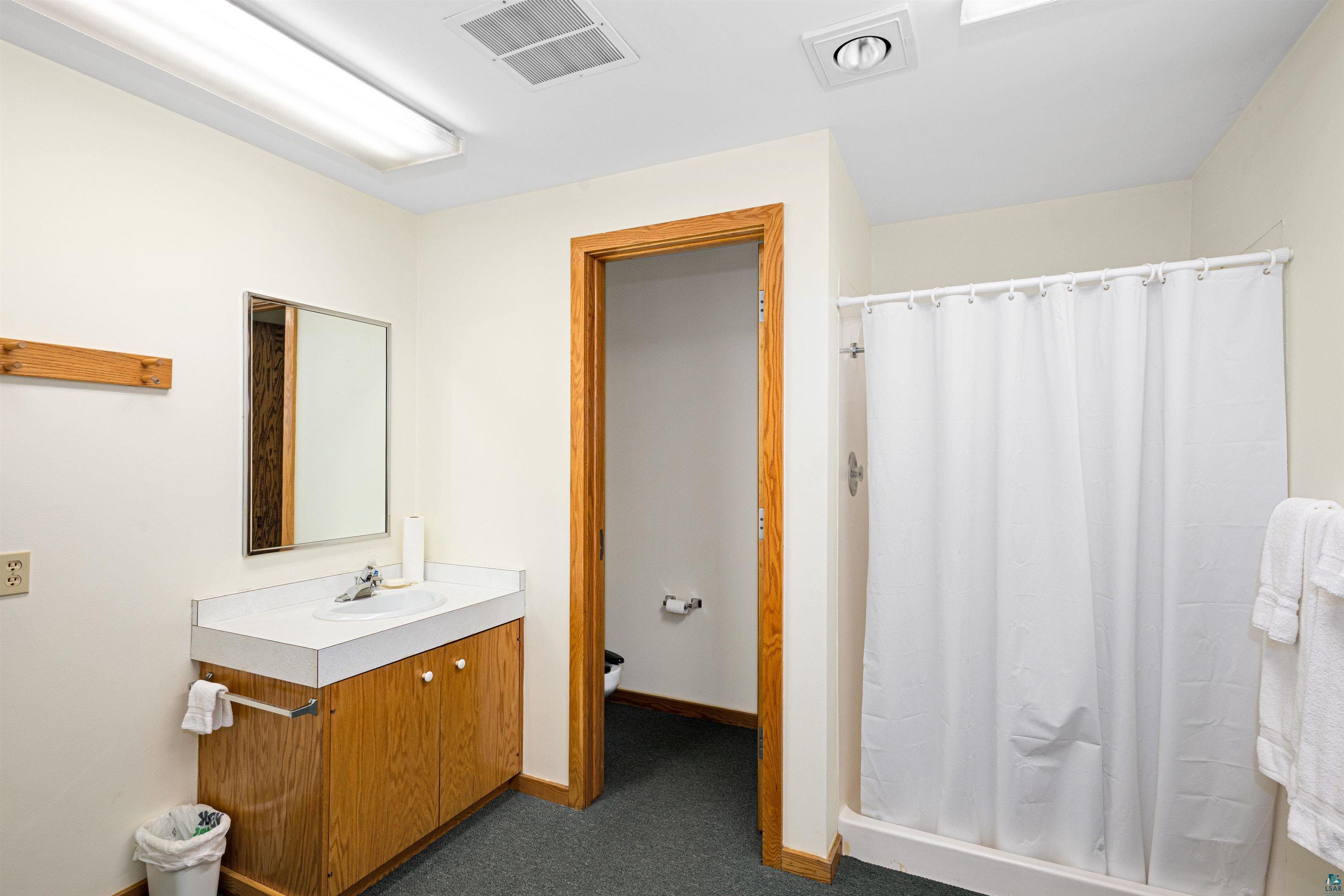 5781 South Pike Lake Road Duluth, MN 55811 - Photo 22 of 42 Bathroom featuring a stall shower, vanity, and dark colored carpet