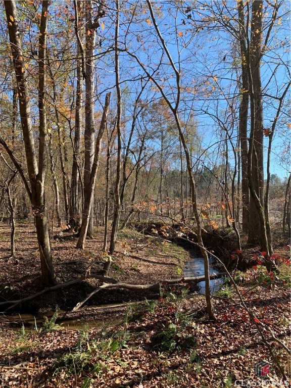 0 Center Church Road Stephens, GA 30667 - Photo 19 of 26