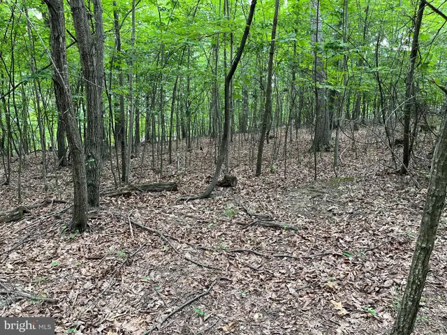 $299,000 | Fairview Oaks Way, Berkeley Springs, WV 25411