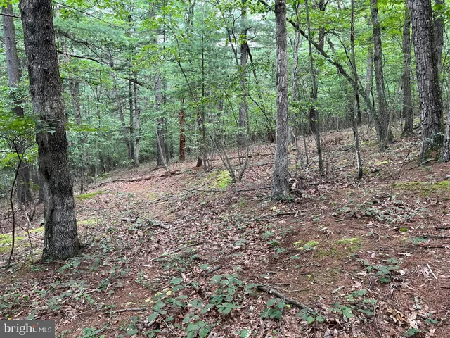 $299,000 | Fairview Oaks Way, Berkeley Springs, WV 25411