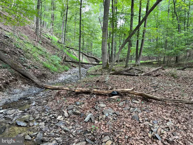 $299,000 | Fairview Oaks Way, Berkeley Springs, WV 25411