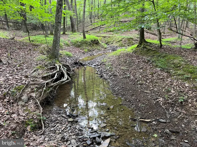 $299,000 | Fairview Oaks Way, Berkeley Springs, WV 25411