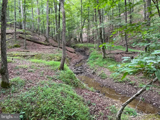 $299,000 | Fairview Oaks Way, Berkeley Springs, WV 25411