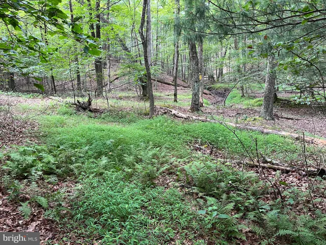 $299,000 | Fairview Oaks Way, Berkeley Springs, WV 25411