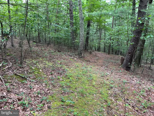 $299,000 | Fairview Oaks Way, Berkeley Springs, WV 25411