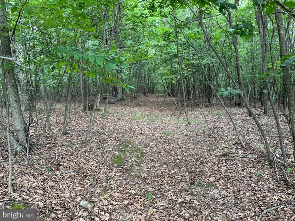 $249,000 | Fairview Oaks Way, Berkeley Springs, WV 25411