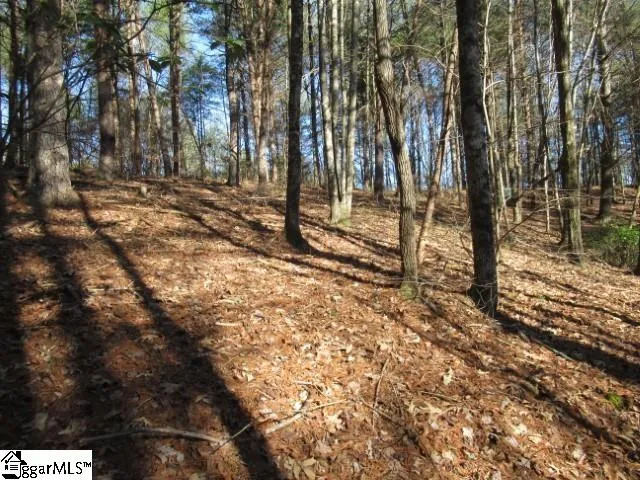 $29,000 | 0 Sweetshrub Court, Unit LOT 10 SWEET SHRUB COURT, Sunset, SC 29685