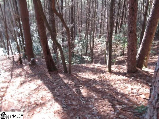 $29,000 | 0 Sweetshrub Court, Unit LOT 10 SWEET SHRUB COURT, Sunset, SC 29685