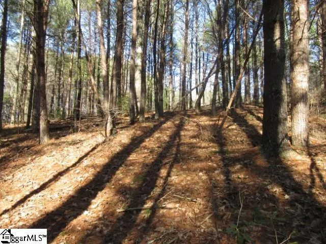 $29,000 | 0 Sweetshrub Court, Unit LOT 10 SWEET SHRUB COURT, Sunset, SC 29685