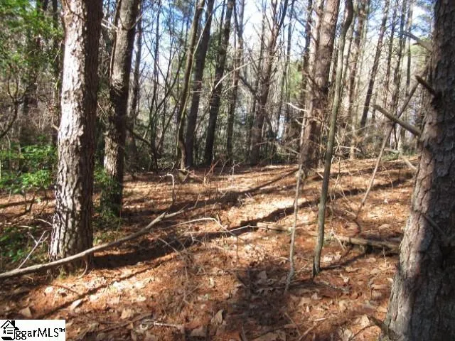 $29,000 | 0 Sweetshrub Court, Unit LOT 10 SWEET SHRUB COURT, Sunset, SC 29685