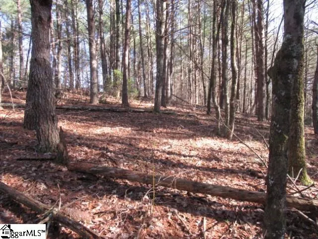 $29,000 | 0 Sweetshrub Court, Unit LOT 10 SWEET SHRUB COURT, Sunset, SC 29685