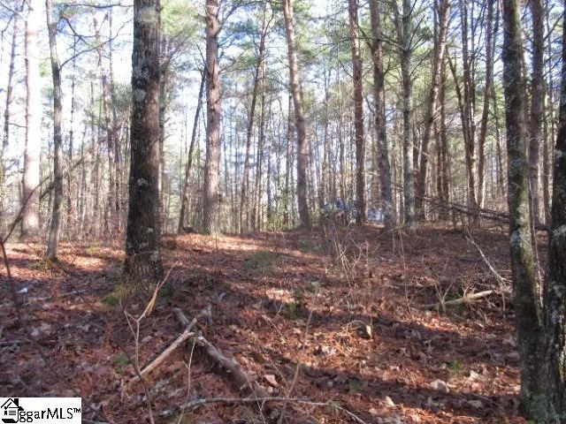 $29,000 | 0 Sweetshrub Court, Unit LOT 10 SWEET SHRUB COURT, Sunset, SC 29685