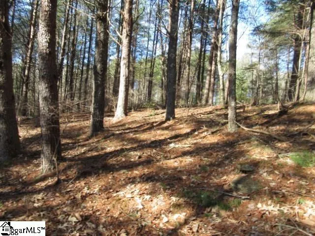 $29,000 | 0 Sweetshrub Court, Unit LOT 10 SWEET SHRUB COURT, Sunset, SC 29685