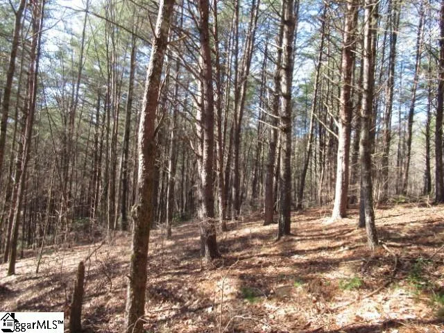 $29,000 | 0 Sweetshrub Court, Unit LOT 10 SWEET SHRUB COURT, Sunset, SC 29685