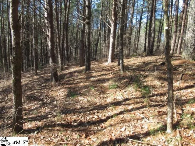 $29,000 | 0 Sweetshrub Court, Unit LOT 10 SWEET SHRUB COURT, Sunset, SC 29685