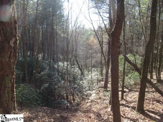 $29,000 | 0 Sweetshrub Court, Unit LOT 10 SWEET SHRUB COURT, Sunset, SC 29685