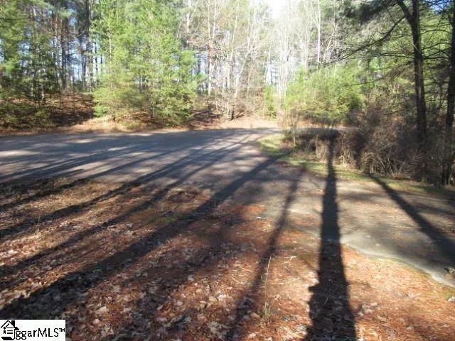 $29,000 | 0 Sweetshrub Court, Unit LOT 10 SWEET SHRUB COURT, Sunset, SC 29685
