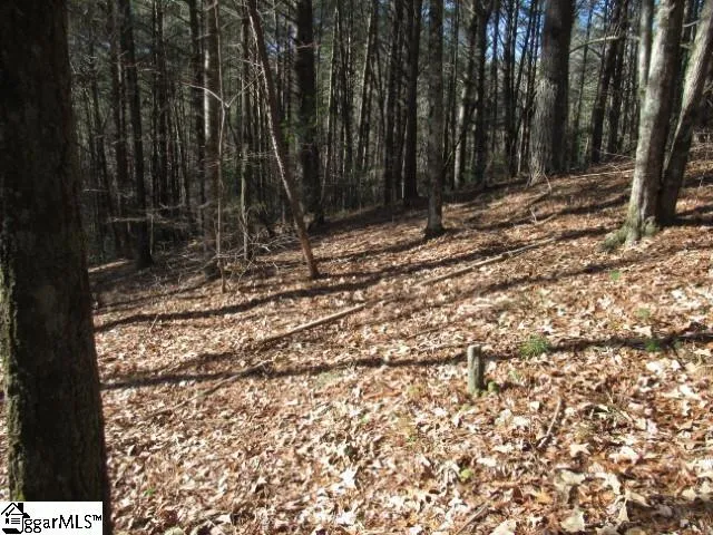 $29,000 | 0 Sweetshrub Court, Unit LOT 10 SWEET SHRUB COURT, Sunset, SC 29685