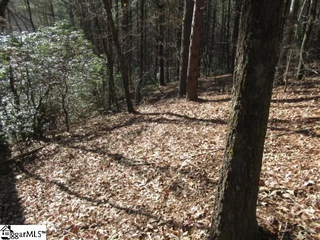 $29,000 | 0 Sweetshrub Court, Unit LOT 10 SWEET SHRUB COURT, Sunset, SC 29685