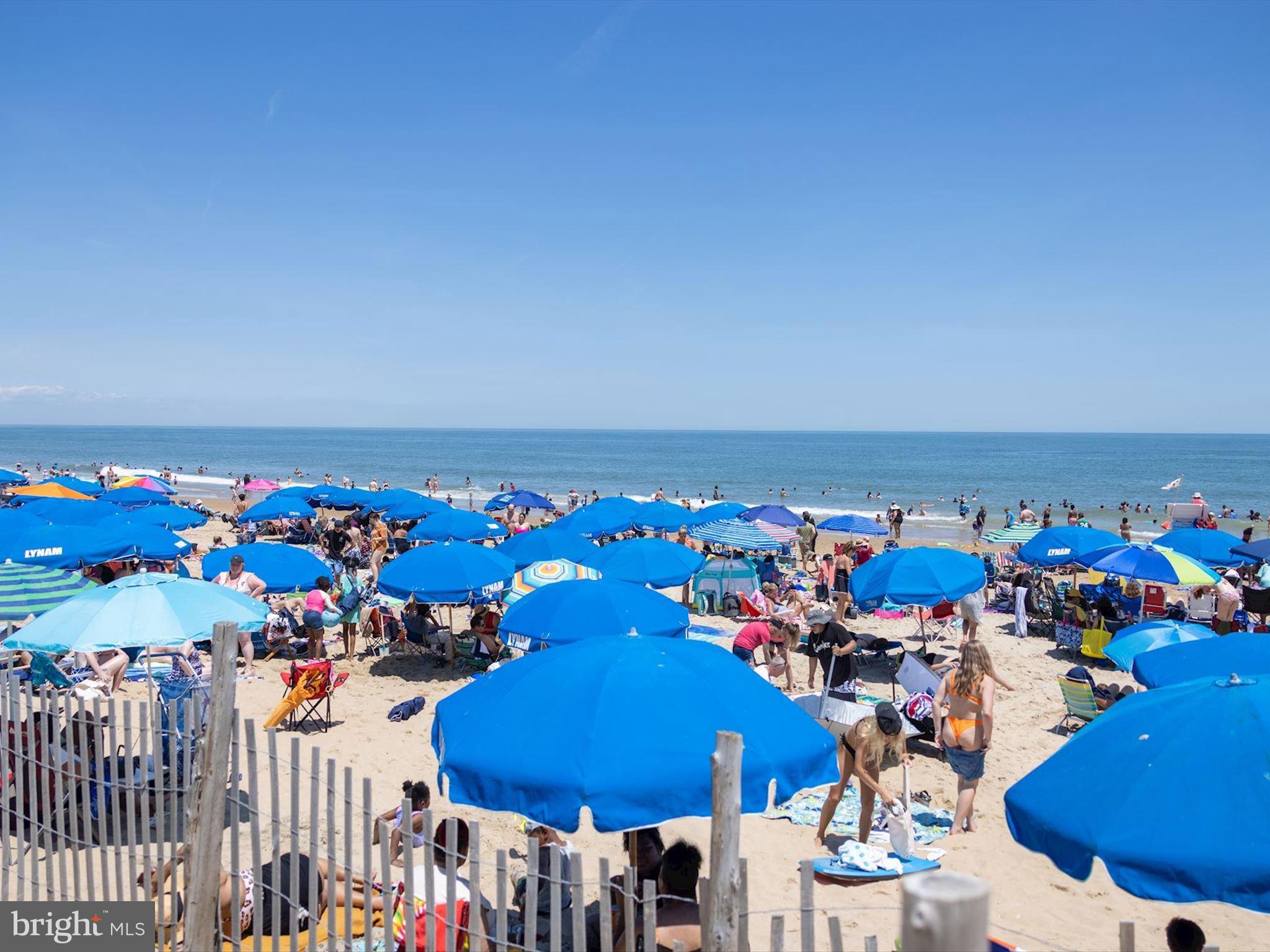 515 Stockley St Extension Rehoboth Beach, DE 19971 - Photo 94 of 104 Rehoboth Beach Community Photo
