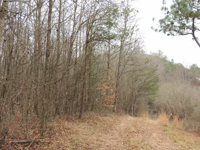 $1,200,000 | Lister Road, Greer, SC 29651