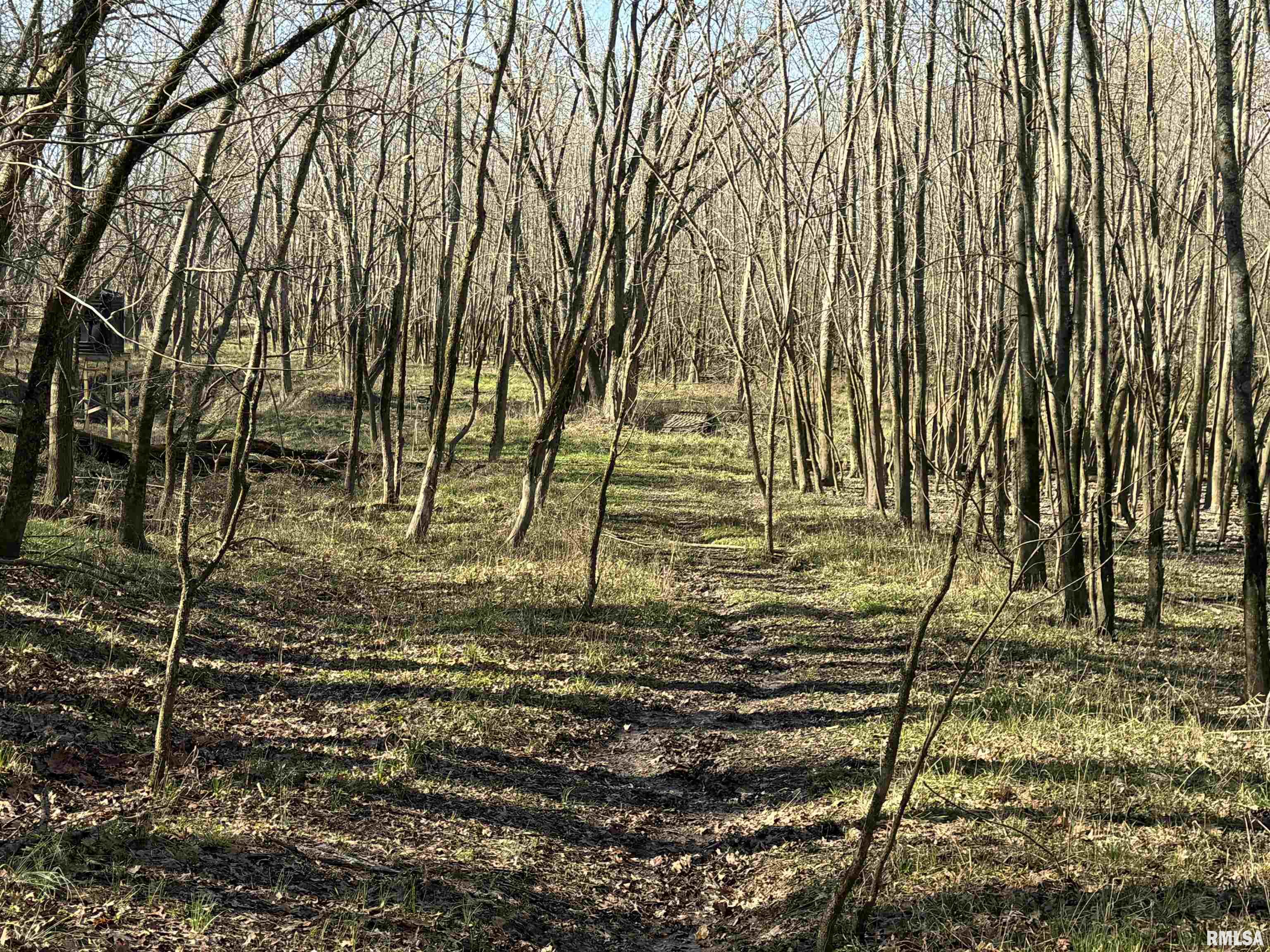 0 Doe Road Louisville, IL 62858 - Photo 12 of 42 Gallery Image 12
