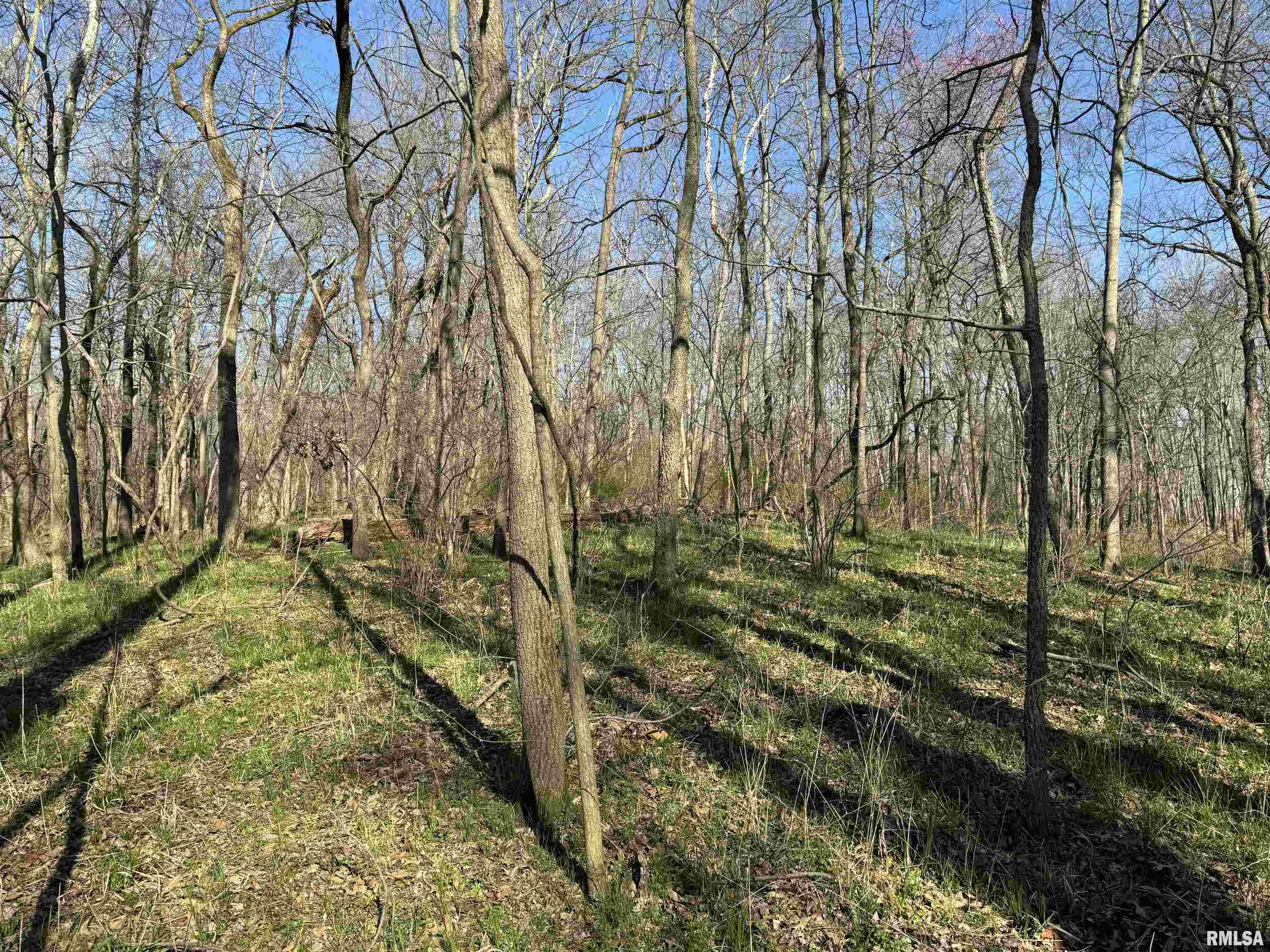 0 Doe Road Louisville, IL 62858 - Photo 20 of 42 Gallery Image 20