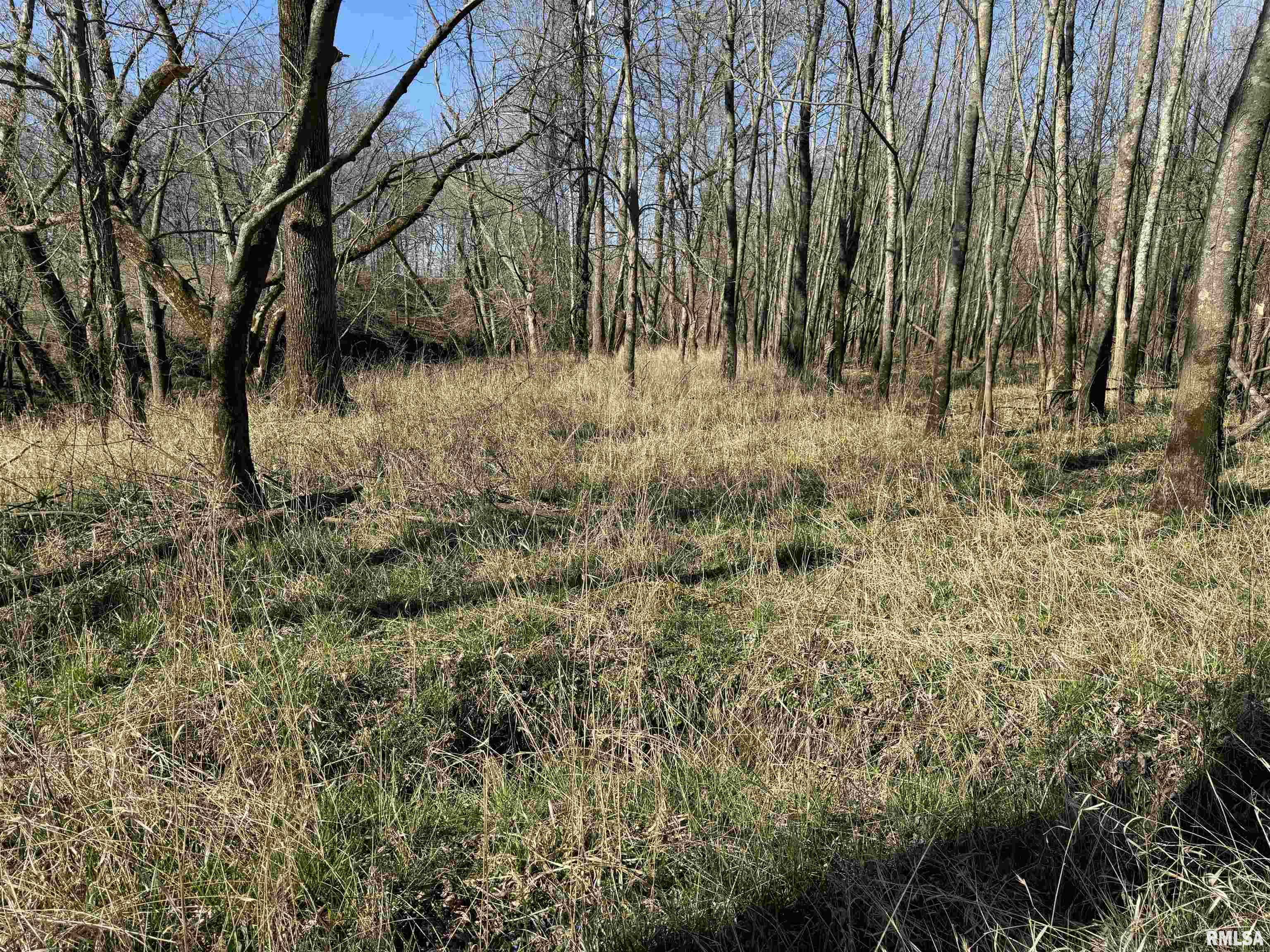 0 Doe Road Louisville, IL 62858 - Photo 30 of 42 Gallery Image 30