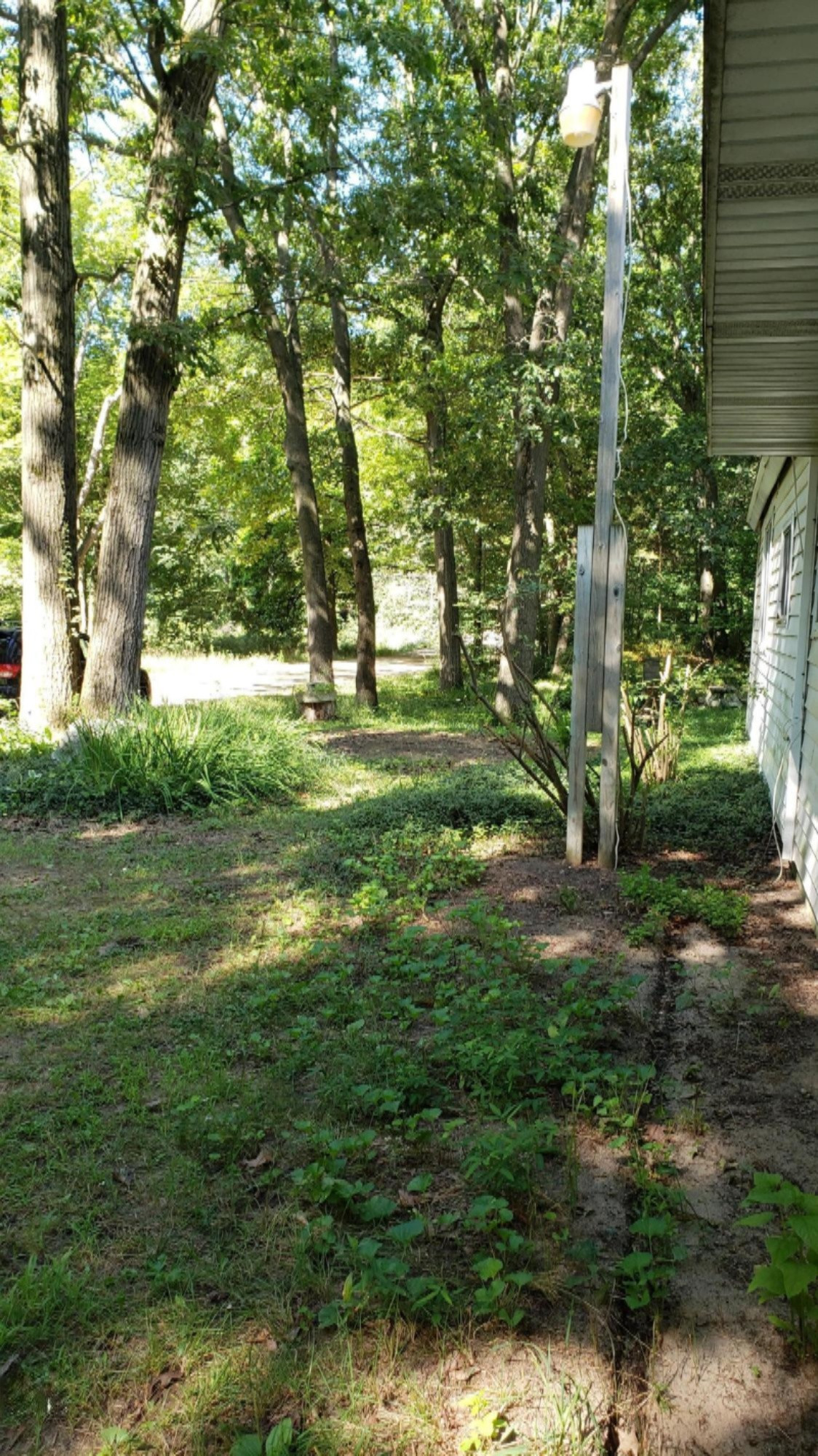 11640 Davis Road Middleville, MI 49333 - Photo 12 of 24 20200806_104343